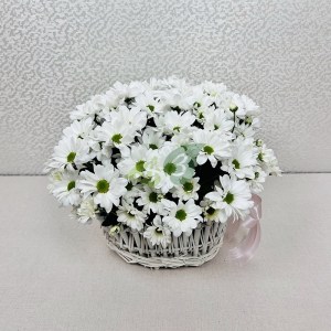 Корзина белых хризантем